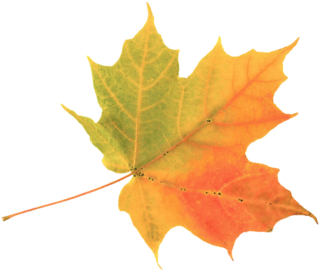 Leaf Decoration